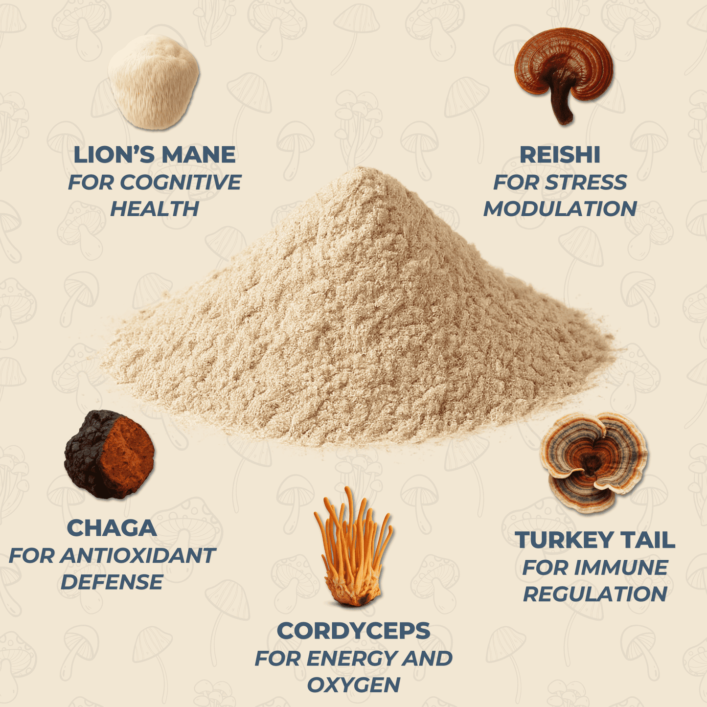 Nature's Neuroscience: 100% Fruiting Body Extracts